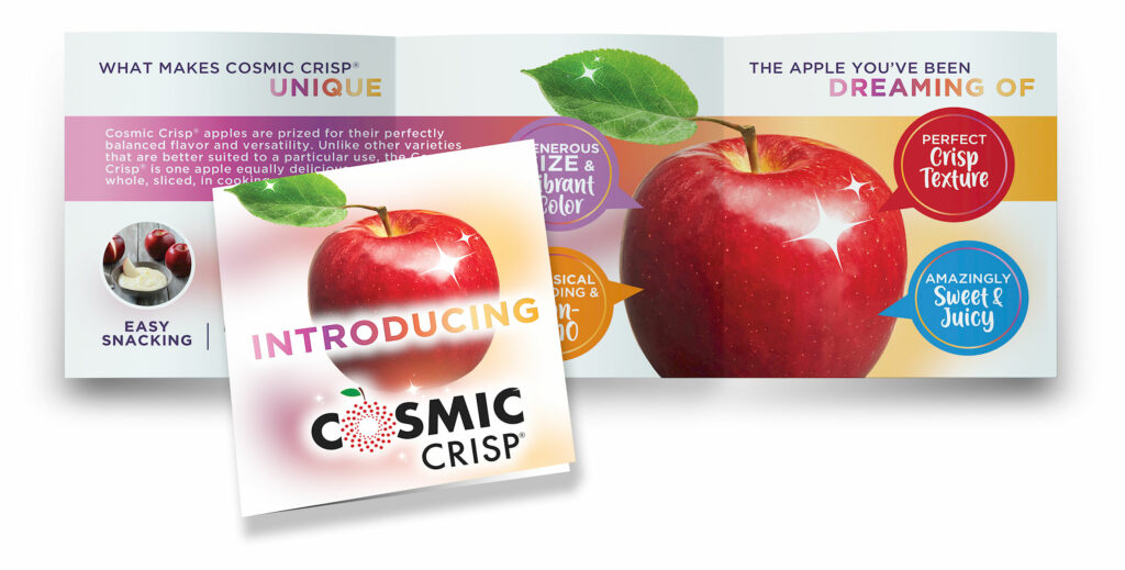 Rise of the Cosmic Crisp apple 🍎 ✨ All you need to know