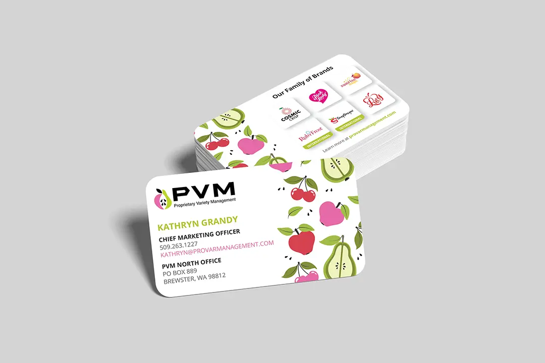 PVM Business Card Design