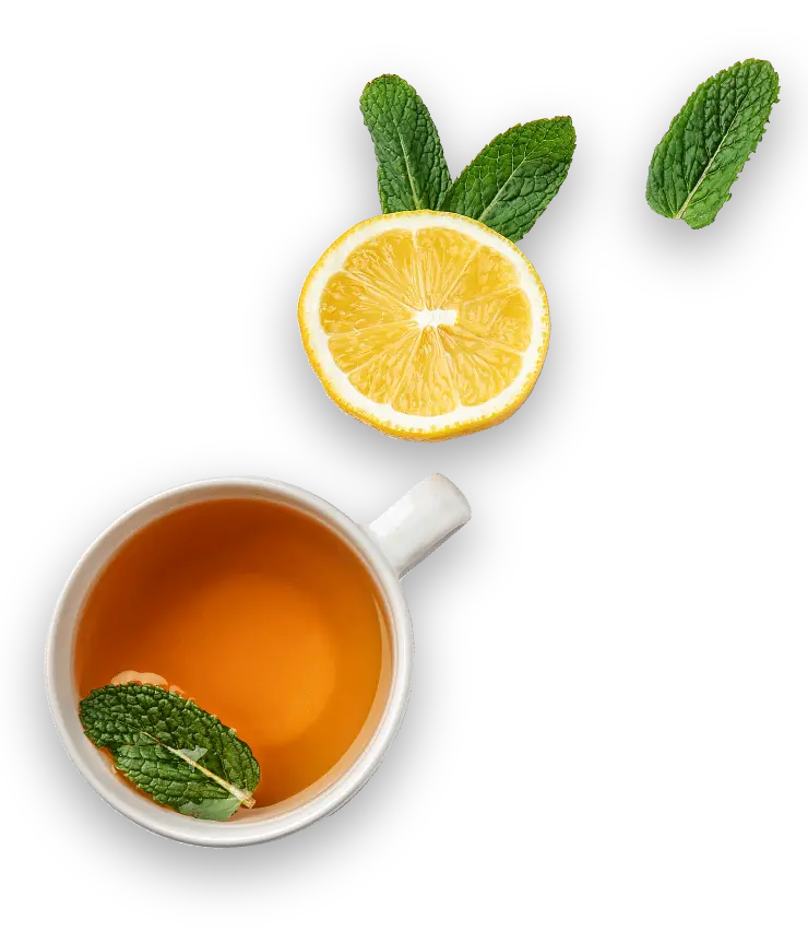 Tea cup with mint leaf and lemon