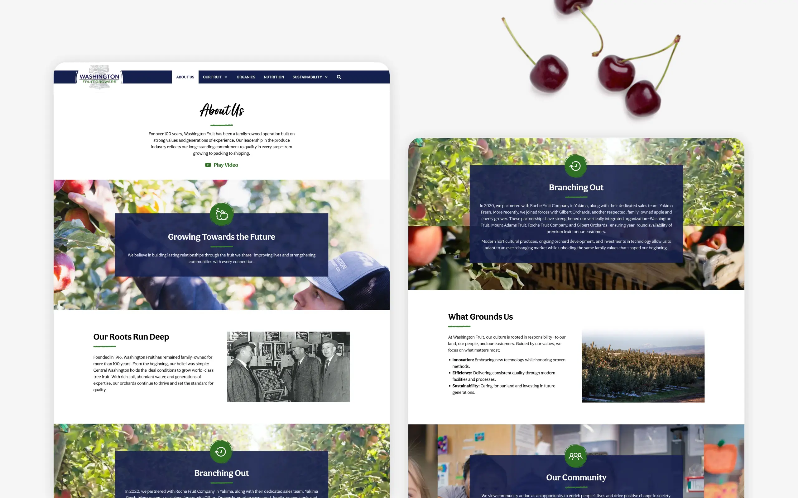 Washington Fruit Growers Web Design