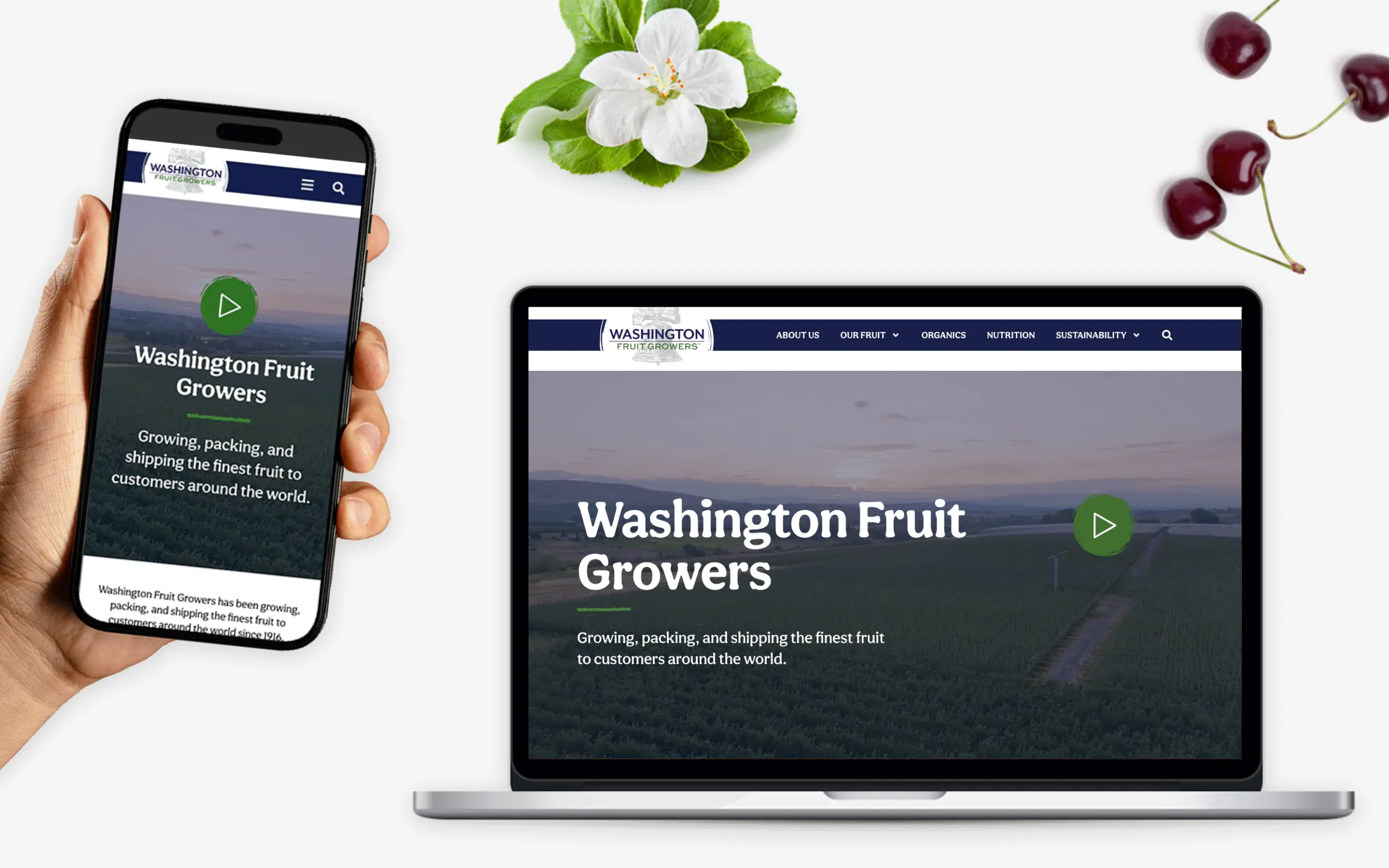Washington Fruit Growers Home Page Design