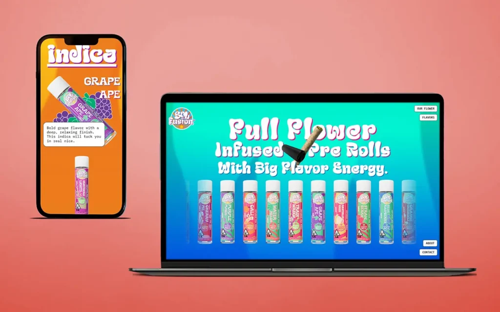 SolFusion Website SolFusion Website Design