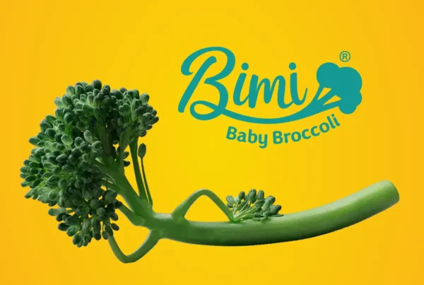 Bimi® Featured Image